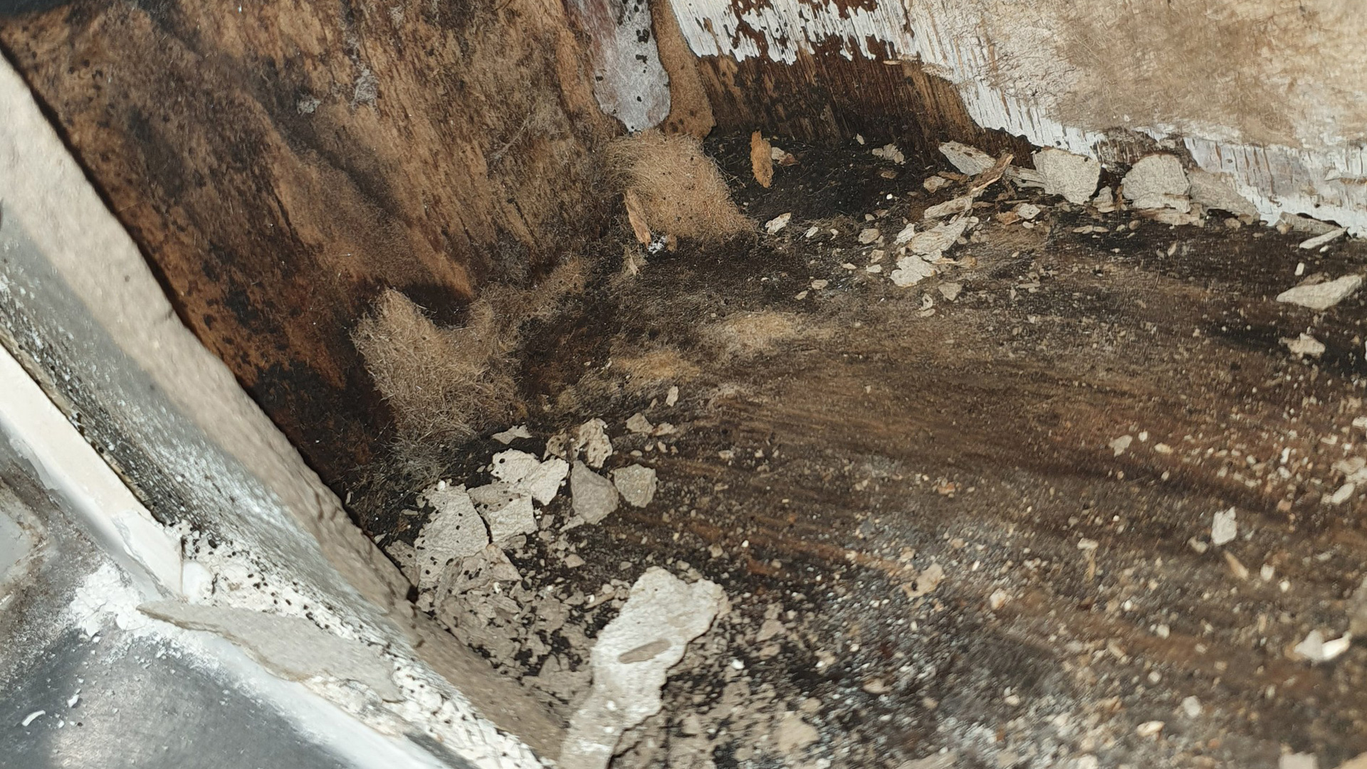 how-an-undetected-water-leak-can-cost-you-thousands-beenleigh