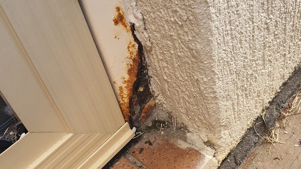 signs of a water leak in a wall